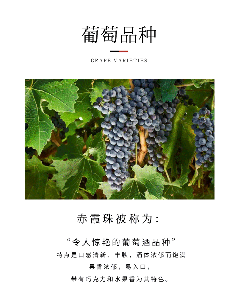 128切片_07.png