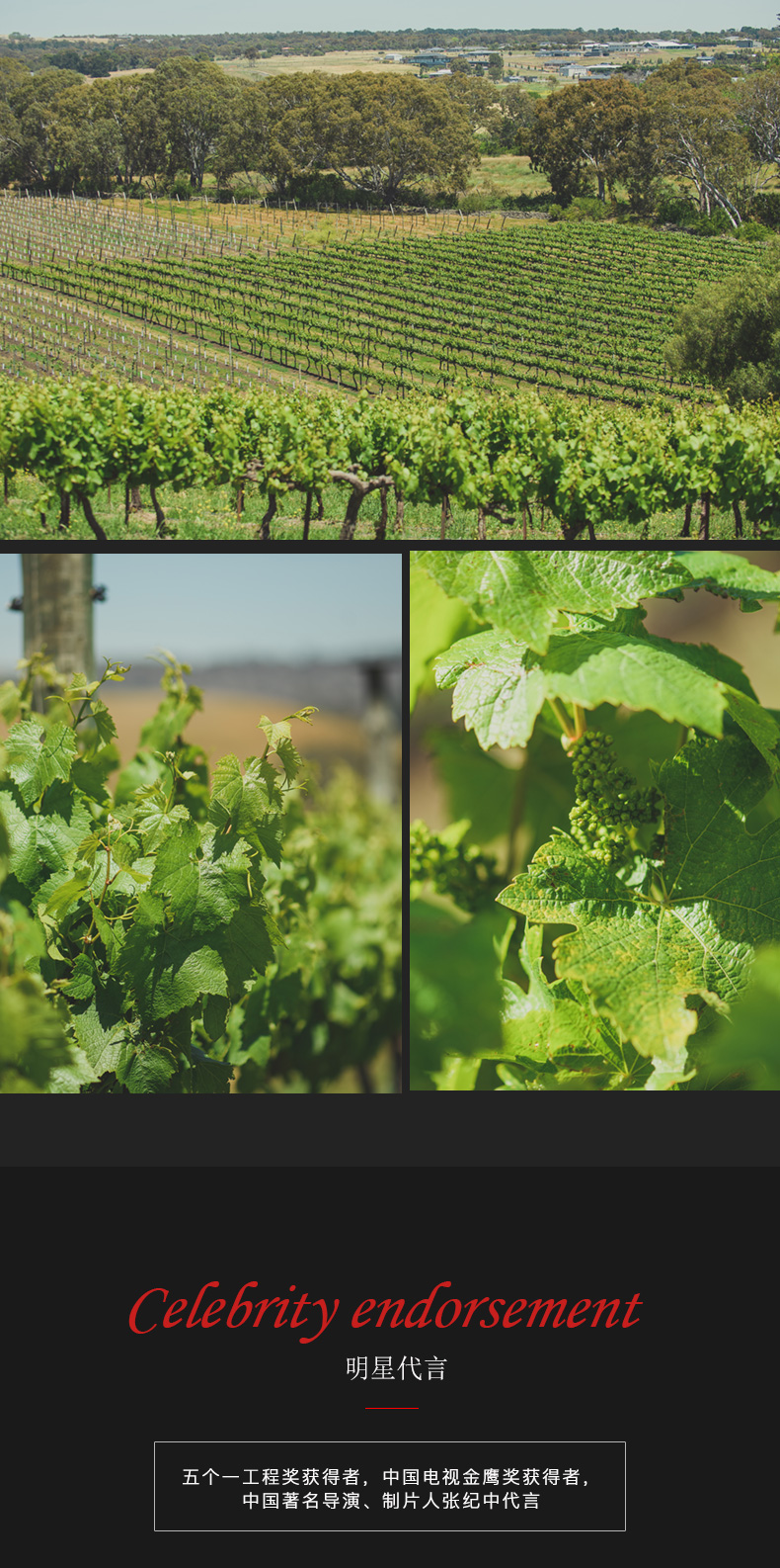 91桃色在线观看紅酒203號 澳洲原裝原瓶進口(圖4)